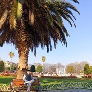  ,   BAXTIYOR, 32 ,   ,   , c , 