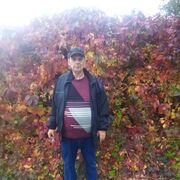 ���������� ����������, ������� ������, 48