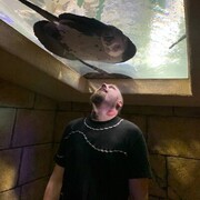  ,   , 26 ,   ,   , c , 