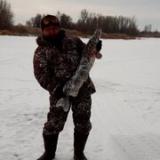 ���������� �������, ���� ������� ��������, 35 ���, ������������ ��� ������, ����� � ���������