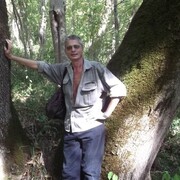  ,   , 59 ,   ,   