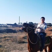 ���������� ������, ���� ������� ����, 38 ���, ������������ ��� ������, ����� � ���������