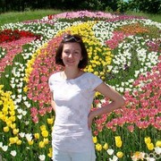 ���������� ����, ���� ������� ������, 44 ����, ������������ ��� ������, ����� � ���������, c�������� ���������