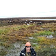 ���������� ������, ���� ������� ������, 48 ���, ������������ 