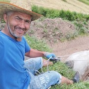 ���������� �����, ���� ������� Aflan, 39 ���, ������������ ��� ������, ����� � ���������, ���������