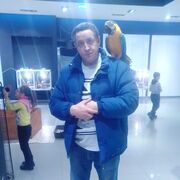 ���������� ���������� �����, ���� ������� ������, 41 ���, ������������ ��� ������, ����� � ���������