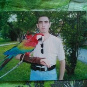 ���������� �����������, ���� ������� �������, 40 ���, ������������ ��� ������, ����� � ���������, c�������� ���������