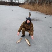 ���������� ������������, ���� ������� �����, 48 ���, ������������ ��� ������, ����� � ���������, c�������� ���������