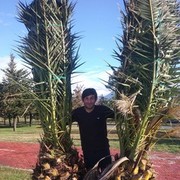  ,   Kusa, 34 ,   ,   , c 