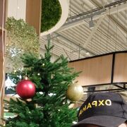 ���������� ������, ���� ������� ����, 49 ���, ������������ 