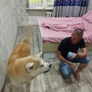  --,   , 45 ,   ,   , c 