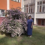 ���������� ������, ���� ������� ����, 49 ���, ������������ ��� ����� � ���������, c�������� ���������