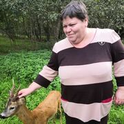 ���������� �������, ���� ������� �������, 53 ����, ������������ ��� ����� � ���������, c�������� ���������