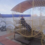 ���������� ������, ���� ������� ����������, 33 ����, ������������ ��� ������, ����� � ���������, c�������� ���������