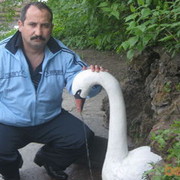 ���������� ����, ���� ������� Zahid, 58 ���, ������������ ��� ������