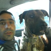 ���������� ������, ���� ������� Artak, 40 ���, ������������ ��� ������, ����� � ���������