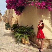 ���������� ������, ���� ������� ���������, 28 ���, ������������ ��� ������, ����� � ���������, c�������� ���������