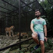 ���������� ���������, ���� ������� ������, 36 ���, ������������ ��� ������, ����� � ���������, c�������� ���������