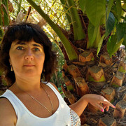 ���������� �����, ���� ������� �������, 62 ����, ������������ ��� ������, ����� � ���������, c�������� ���������, ���������