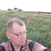  ,   , 71 ,   ,   , c 