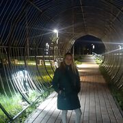 ,   , 28 ,   c , 