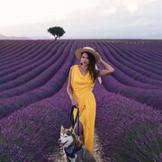 ���������� ������, ���� ������� �����, 27 ���, ������������ 