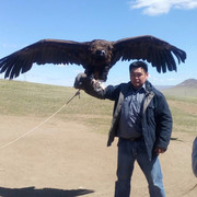 ���������� ��������, ���� ������� ������, 54 ����, ������������ ��� ������, ����� � ���������, c�������� ���������