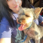 ���������� ��������, ���� ������� ����, 34 ����, ������������ ��� c�������� ���������