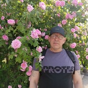  ,   , 49 ,  
