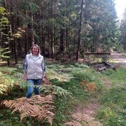 ���������� ������, ���� ������� �������, 46 ���, ������������ ��� c�������� ���������, ���������