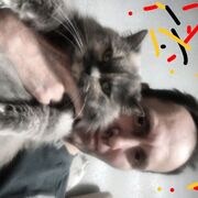 ���������� ����������, ���� ������� ����, 50 ���, ������������ ��� ������, ����� � ���������