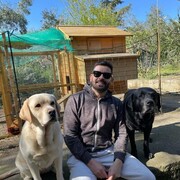 ���������� ������, ���� ������� �����, 37 ���, ������������ ��� ������, ����� � ���������