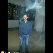  ,  aligator, 32