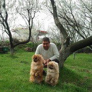 ,   HRACHYA, 59 ,   