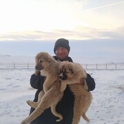 ���������� ������, ���� ������� Arman, 38 ���, ������������ ��� c�������� ���������, ���������