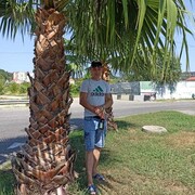  ,   , 37 ,   ,   