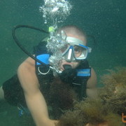 ���������� ��������������, ���� ������� Loba4, 40 ���, ������������ ��� ������, ����� � ���������, c�������� ���������