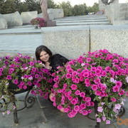 ���������� �����-���������, ���� ������� ���������, 36 ���, ������������ ��� ������, ����� � ���������, c�������� ���������