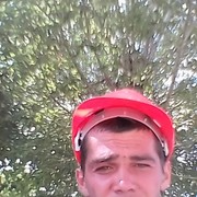  -,   , 33 ,  