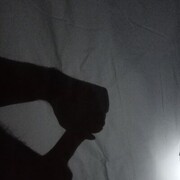 ���������� ������, ���� ������� �������, 38 ���, ������������ ��� ������