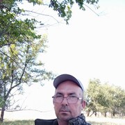  ,   , 75 ,  