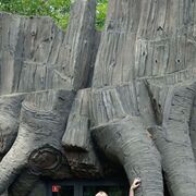  ,  Natali, 37