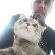  ,   , 36 ,   ,   