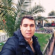 ���������� �����-���������, ���� ������� ����, 44 ����, ������������ ��� ������, ����� � ���������