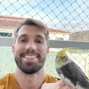 ���������� ������, ���� ������� ���������, 45 ���, ������������ ��� ����� � ���������, c�������� ���������, ���������