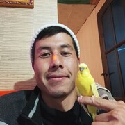 --,   , 28 ,   ,   