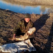 ���������� ������, ���� ������� ����, 41 ���, ������������ ��� ������, ����� � ���������, c�������� ���������