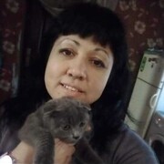  Lauingen,   , 40 ,   ,   