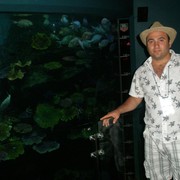  ,   , 42 ,   