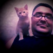 ���������� �������, ���� ������� �����, 49 ���, ������������ 